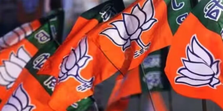 By Election 2025 Result | By Election 2025 | Rajendra Chavda Victory | Gujarat by Poll Result | BJP Wins Kadi Seat | Rajendra Chavda Record Win | By Election 2025 Result: Rajendra Chavda blew the senses of opponents! The new record of BJP's victory was made, opposition became clear! , News Track in Hindi