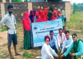 Call to increase greenery by planting saplings, cleaning of water sources also