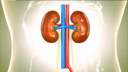 Covid vaccine proved beneficial for patients suffering from kidney disease: Research