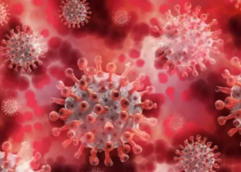 Covid19 Update: The number of those who lost their lives in the latest wave of Corona reached beyond 100, know how many active patients of Kovid-19 virus in India right now?, More than 100 dead till now in fresh wave of covid19 in India know how many active people