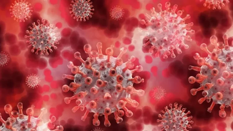 Covid19 Update: The number of those who lost their lives in the latest wave of Corona reached beyond 100, know how many active patients of Kovid-19 virus in India right now?, More than 100 dead till now in fresh wave of covid19 in India know how many active people