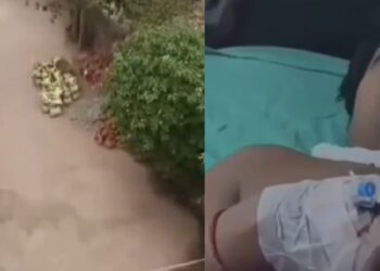 Daudnagar drain controversy: Panic, three accused arrested, weapons and cartridges recovered