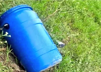 Dead Body Found in Blue Drum from Ludhiana: Neela Drum again in discussion, after Meerut, now kills a person in Ludhiana and put a dead body in the drum, know what is the whole matter, blue drum is in news in news again, after meerut, noch a person was Murdered in Ludhiana and His believer Put in a drum