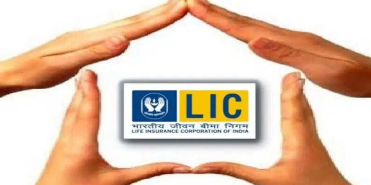 क्या आप भी कम निवेश में पाना चाहते है मौटा मुनाफा, तो आज LIC की इस जोरदार स्कीम में करें निवेश