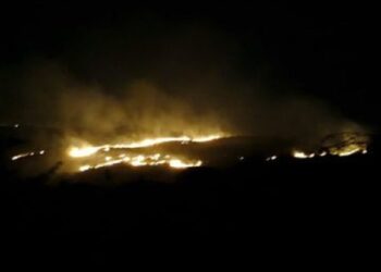 Fire for the third time in Aravali - when will the system wake up?