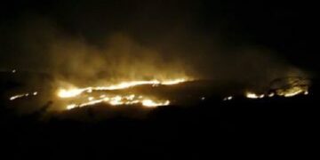 Fire for the third time in Aravali - when will the system wake up?