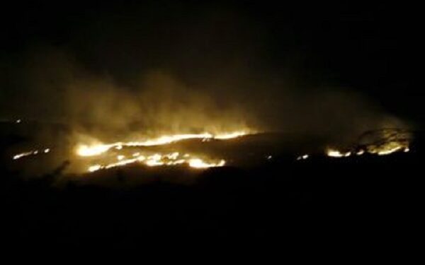 Fire for the third time in Aravali - when will the system wake up?