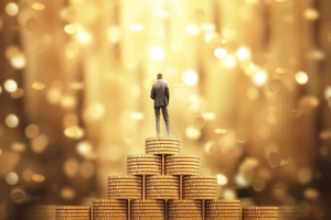 High net worth individual assets in India jumped by 8.8 percent in 2024