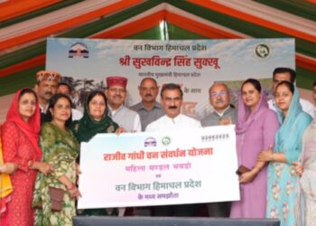 Himachal: CM Sukhu took part in the forest friend dialogue program in Hamirpur