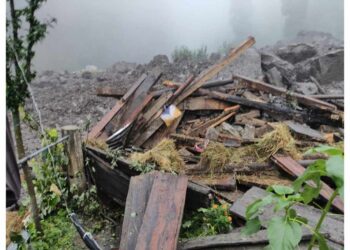 Himachal Pradesh: 3 people killed in road accident in Shimla amid rain