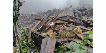 Himachal Pradesh: 3 people killed in road accident in Shimla amid rain