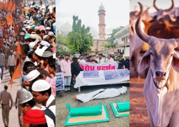 Hindu-Muslims Face Over 100 Crore Land Muslims Say they will not build cowsheds here this waqf land | Hindu-Muslim face to face about 100 crore land, Muslims said that there will not be a gaushala here, this is the land of Waqf. News Track in Hindi