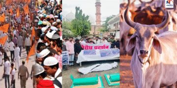 Hindu-Muslims Face Over 100 Crore Land Muslims Say they will not build cowsheds here this waqf land | Hindu-Muslim face to face about 100 crore land, Muslims said that there will not be a gaushala here, this is the land of Waqf. News Track in Hindi