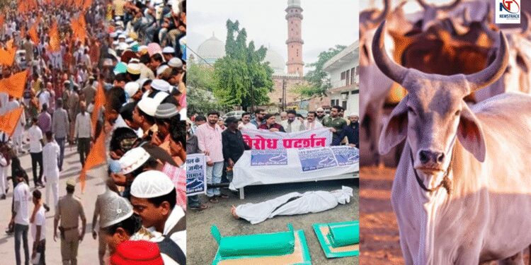 Hindu-Muslims Face Over 100 Crore Land Muslims Say they will not build cowsheds here this waqf land | Hindu-Muslim face to face about 100 crore land, Muslims said that there will not be a gaushala here, this is the land of Waqf. News Track in Hindi
