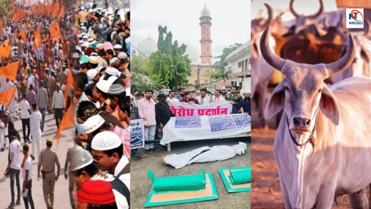 Hindu-Muslims Face Over 100 Crore Land Muslims Say they will not build cowsheds here this waqf land | Hindu-Muslim face to face about 100 crore land, Muslims said that there will not be a gaushala here, this is the land of Waqf. News Track in Hindi