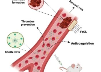 IIT-BHU scientists made nano particles preventing blood clotting