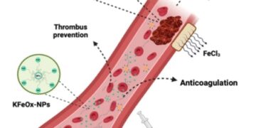 IIT-BHU scientists made nano particles preventing blood clotting