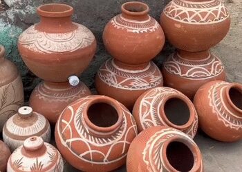 In summer there is nectar of pitcher, many benefits are available