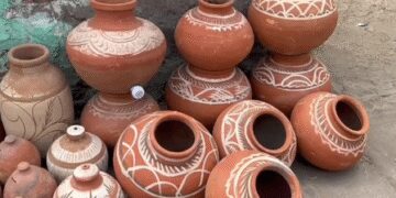 In summer there is nectar of pitcher, many benefits are available
