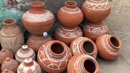In summer there is nectar of pitcher, many benefits are available