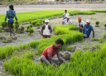 Inflation will be 3.2 percent on an average in financial year 2026, massive consumption will be promoted: report