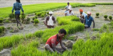 Inflation will be 3.2 percent on an average in financial year 2026, massive consumption will be promoted: report