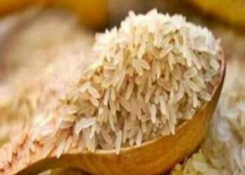 Iran-Israeli struggle impact: Basmati rice exporters warned of payment crisis and prices fall