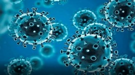 Kovid-19: Infection cases decreased for the second consecutive day, now 7,264 active cases across the country