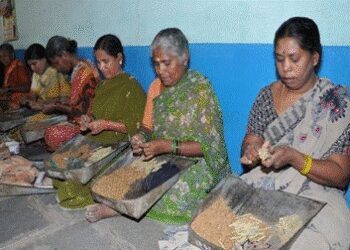 श्रम कल्याण योजनाओं ने 50 लाख से अधिक असंगठित श्रमिकों को बनाया सशक्त : केंद्र
