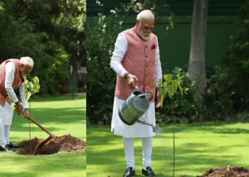 Narendra Modi Planted Vermilion Plant in the PM House Garden: Narendra Modi planted vermilion in the garden of PM House, Veerangana women in Kutch had gifts, Narendra Modi planted a vermillion plant in the garden of PM house, which was gifted braves Kutch