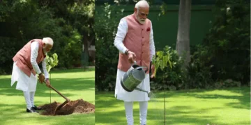 Narendra Modi Planted Vermilion Plant in the PM House Garden: Narendra Modi planted vermilion in the garden of PM House, Veerangana women in Kutch had gifts, Narendra Modi planted a vermillion plant in the garden of PM house, which was gifted braves Kutch