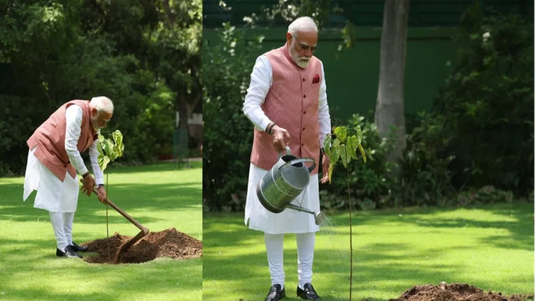 Narendra Modi Planted Vermilion Plant in the PM House Garden: Narendra Modi planted vermilion in the garden of PM House, Veerangana women in Kutch had gifts, Narendra Modi planted a vermillion plant in the garden of PM house, which was gifted braves Kutch