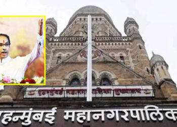Now 'fight for your Mumbai' Thackeray Group's master plan for municipal elections, what is the strategy
