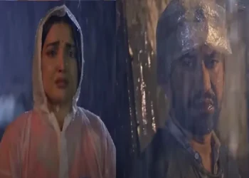 Piya Nirhua bin does not look like Amrapali Dubey's new song is full of pain and love