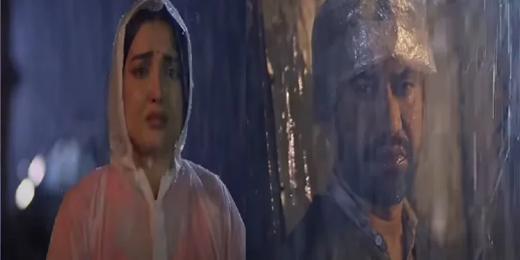 Piya Nirhua bin does not look like Amrapali Dubey's new song is full of pain and love