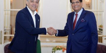 Piyush Goyal met the CEO of top companies, talked about investing in India's EV and renewable energy sector