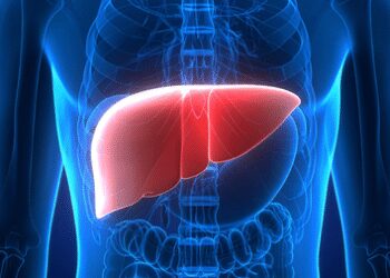 Plastic particles present in food and beverages can damage your liver: study