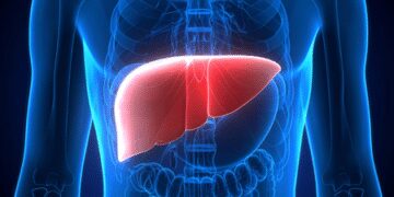 Plastic particles present in food and beverages can damage your liver: study