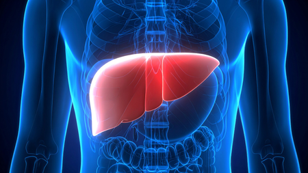 Plastic particles present in food and beverages can damage your liver: study
