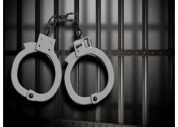 Punjab: 3 terrorists of Babbar Khalsa International Terrorist Group arrested in Mohali
