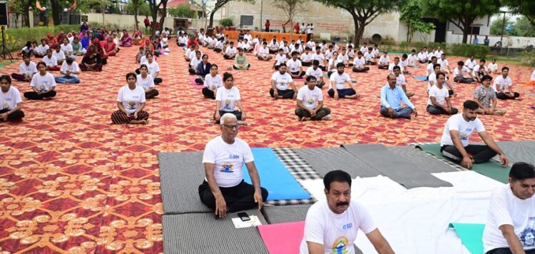 Salasar organized Yoga in Shri Balaji Gaushala on International Yoga Day