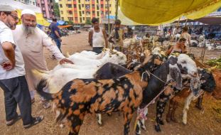 Sambhal: Bakrid is not allowed to sacrifice animals in the open, DM said- action will be taken against those who do not accept orders