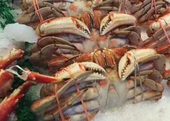 Seafood is spreading resistance to antibiotics 'colistin': Study