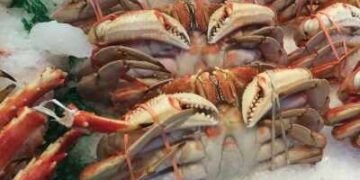 Seafood is spreading resistance to antibiotics 'colistin': Study