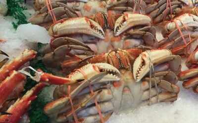 Seafood is spreading resistance to antibiotics 'colistin': Study