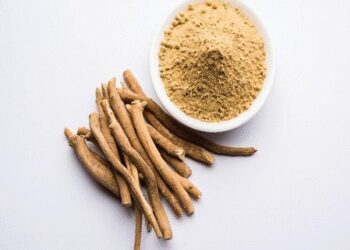 These herbs recharge the body to the immunity