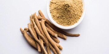 These herbs recharge the body to the immunity