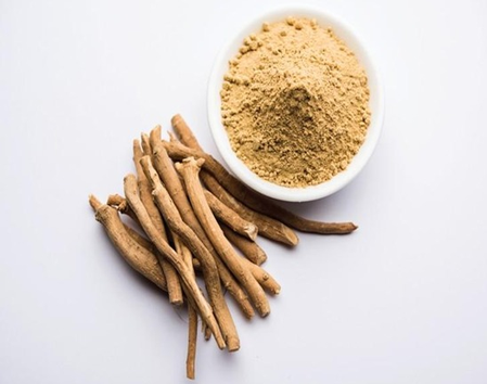 These herbs recharge the body to the immunity
