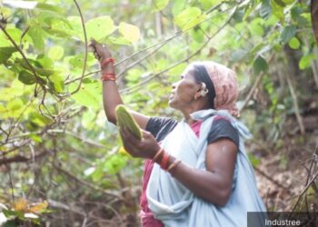 This scheme of the government of women's rights and organic farming in rural India, what is the purpose