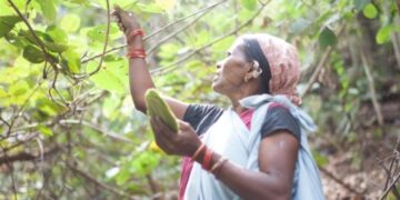 This scheme of the government of women's rights and organic farming in rural India, what is the purpose